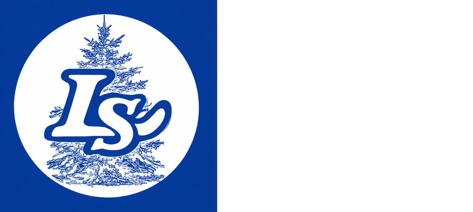 Lint Security logo